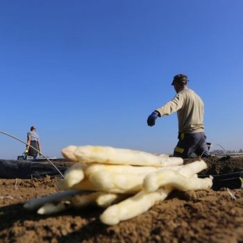 El despido del trabajador durante el periodo de ERTE